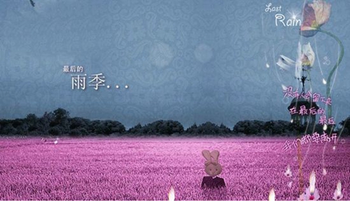 飯圈tour一下指什么
