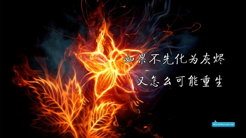 幽默的安慰人的話
