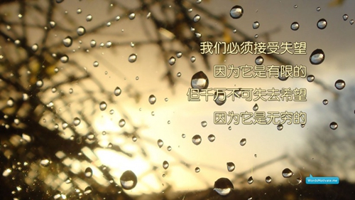 簡短情話求婚