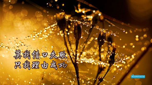 獼猴桃搞笑文案