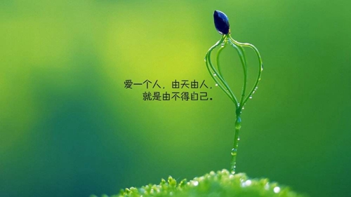 5字情話簡(jiǎn)短句子