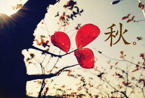 愛(ài)的表白情書(shū)200字