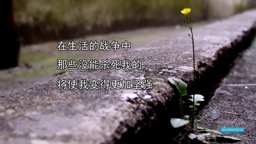 新年對父母的祝福語100