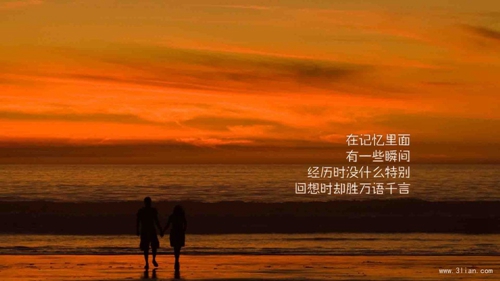 十字表白句子