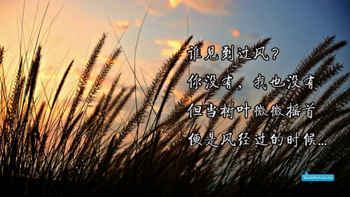 成功的說說2025