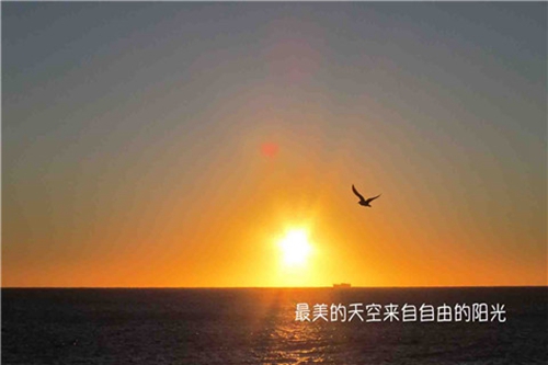 水調歌頭歌詞情話高級
