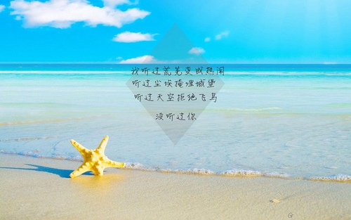 2025有關壯麗的求婚表白