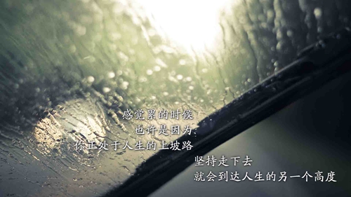 任性的什么網名