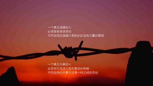 40句優美的短句