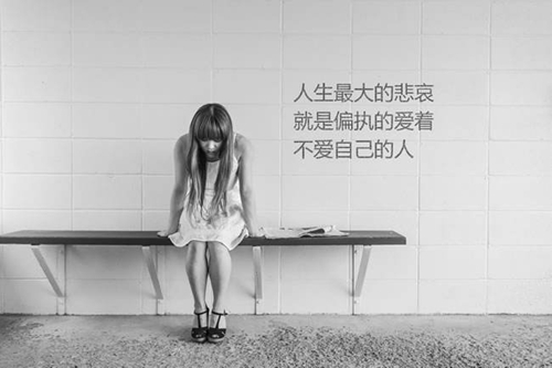 最浪漫的八字情話2025