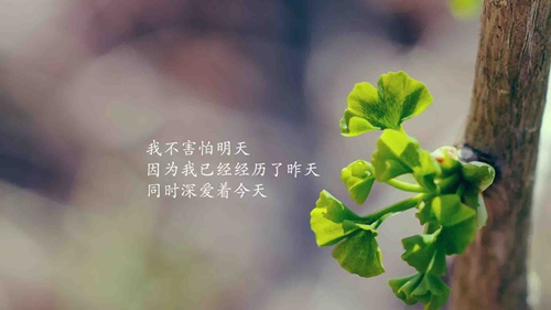10條家人的祝福短信