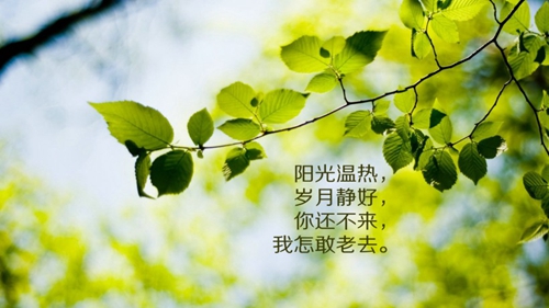 表白一個人最浪漫的話