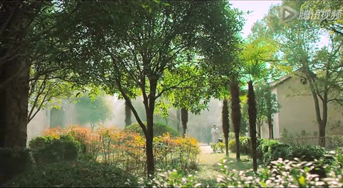 崔道植經典語錄