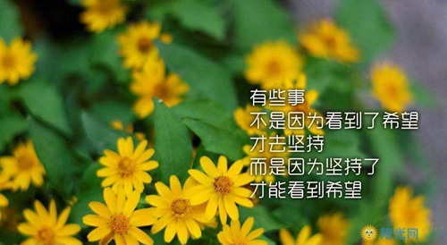幸福親人的句子